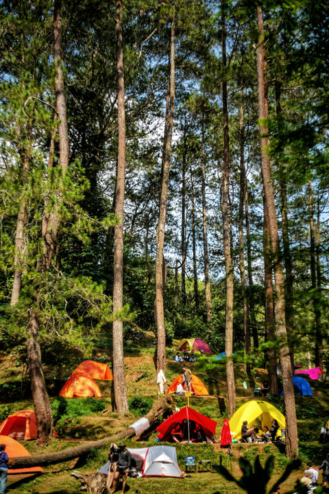 Camp