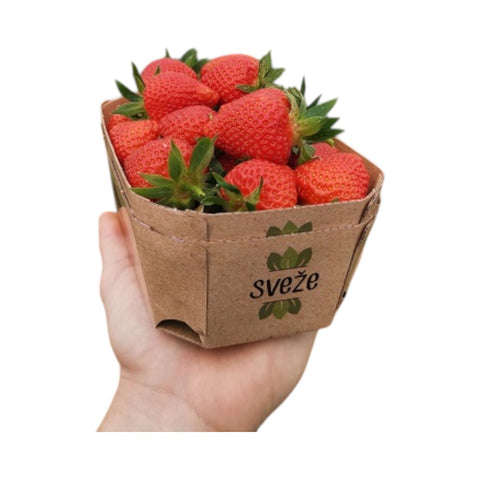 Sveže ekološke jagode Jankova gajbica 500 g