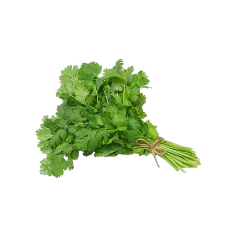 Sveži ekološki koriander paket 30 g