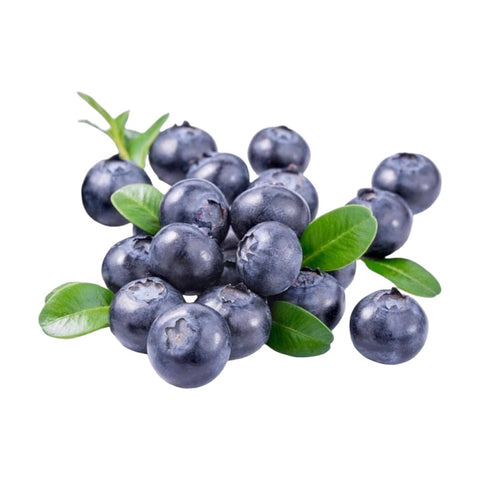 Sveže ekološke borovnice 250 g
